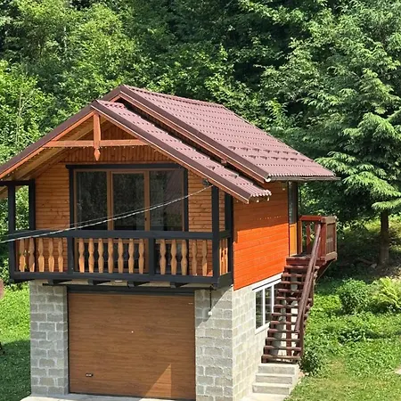 בית נופש Demyaniv House *